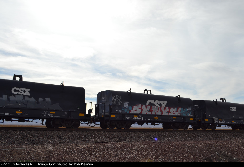 CSXT 499643